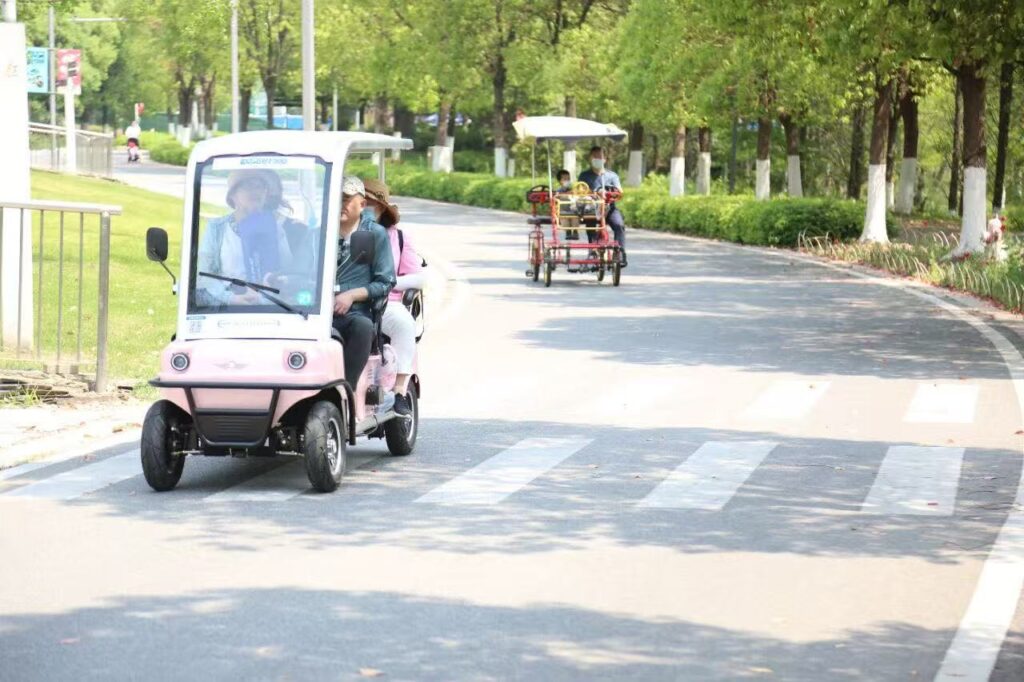 scenic spot rental mobility vehicles,sightseeing vehicle market,smart mobility solutions,electric vehicles for tourist attractions