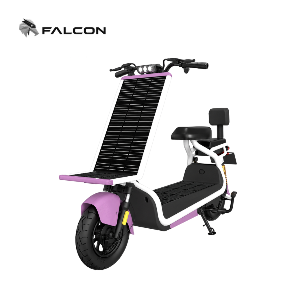 Electric Motorcycle D03-10