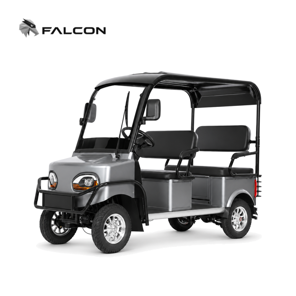 Electric Golf Cart GG-DP003