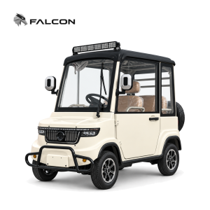 Enclosed Electric Vehicle X1-4（CKD）