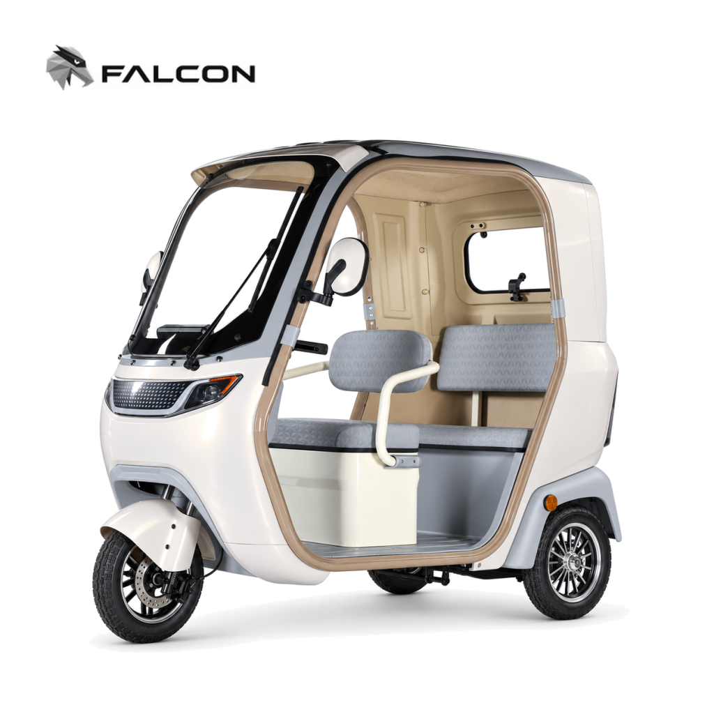 Leisure Electric Passenger Tricycle ZH-CP031