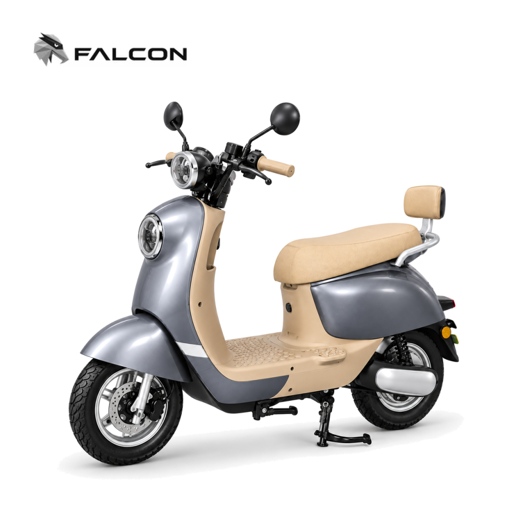 Electric Motorcycle ZK-DP011