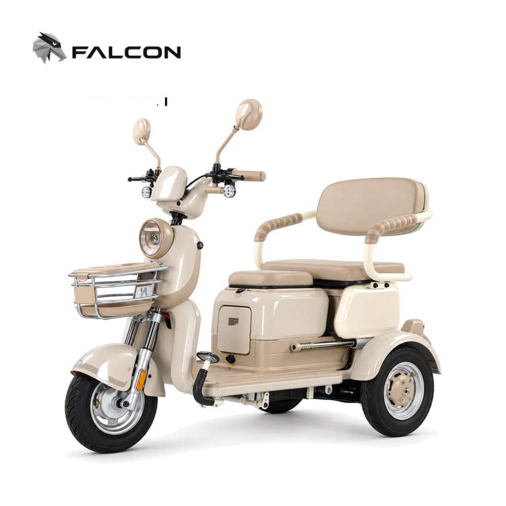 Leisure Electric Passenger Tricycle ZR-CP001