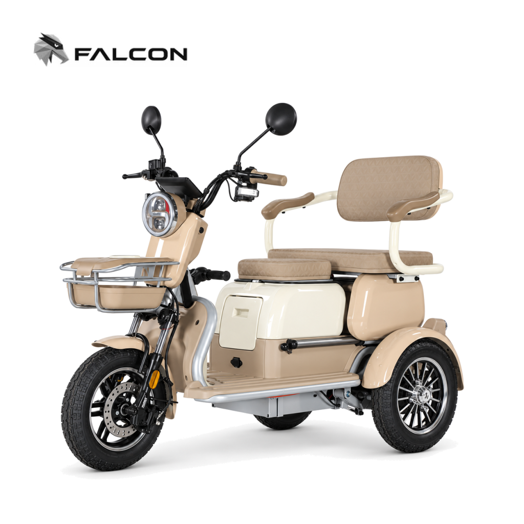 Leisure Electric Passenger Tricycle ZR-CP002