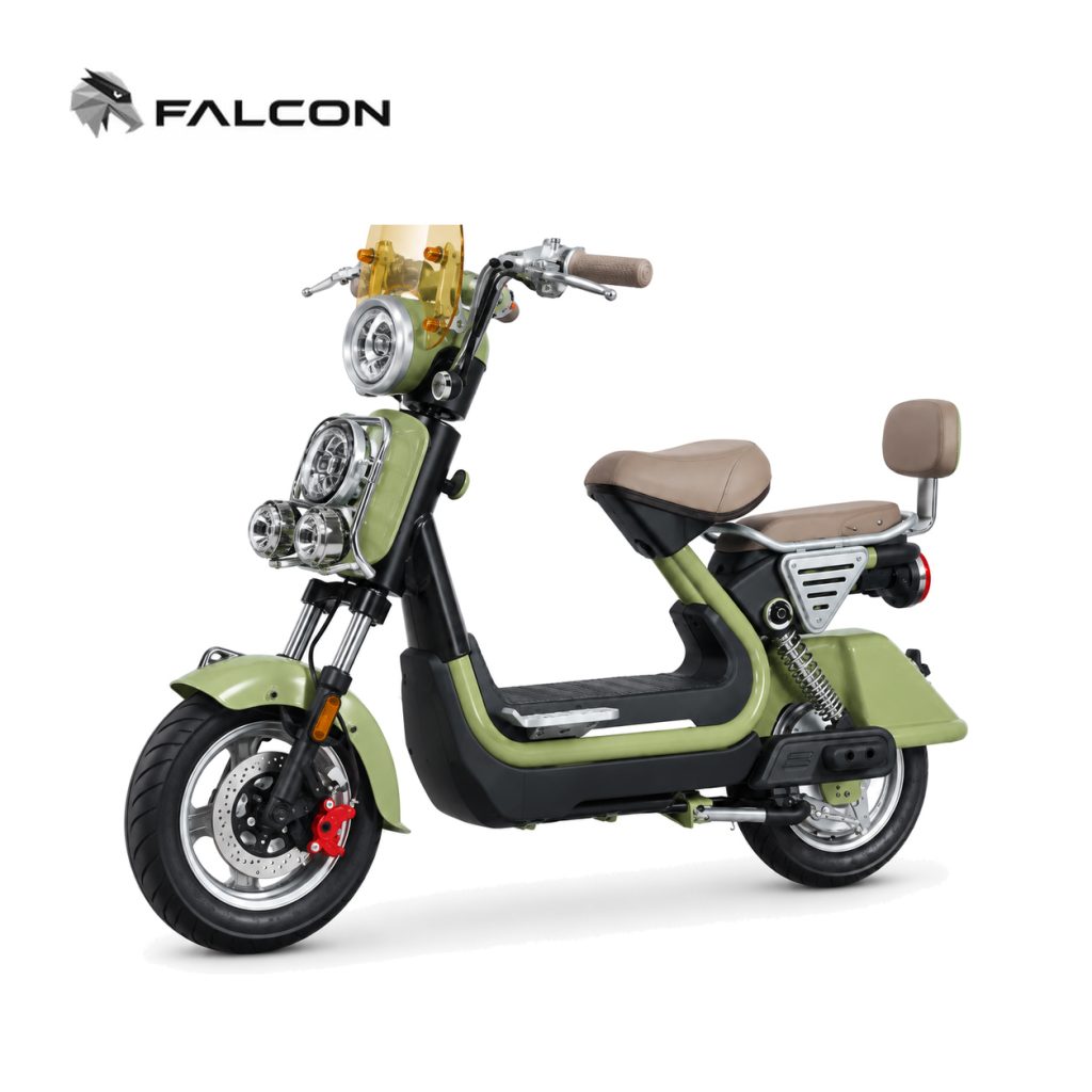Electric Motorcycle ZR-CP006