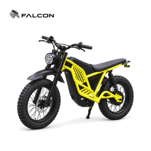 High-Power Electric Motorcycle ZT-V9