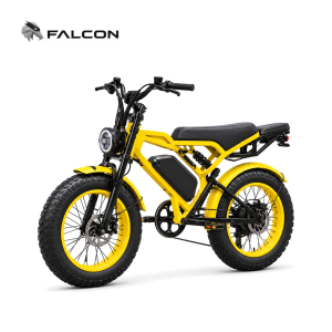 Electric Motorcycle 大黄蜂